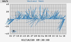 Wind Vector