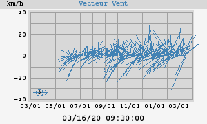 Wind Vector